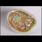 Arctic Spring's Pool 5 x 8 x 6 in.jpg